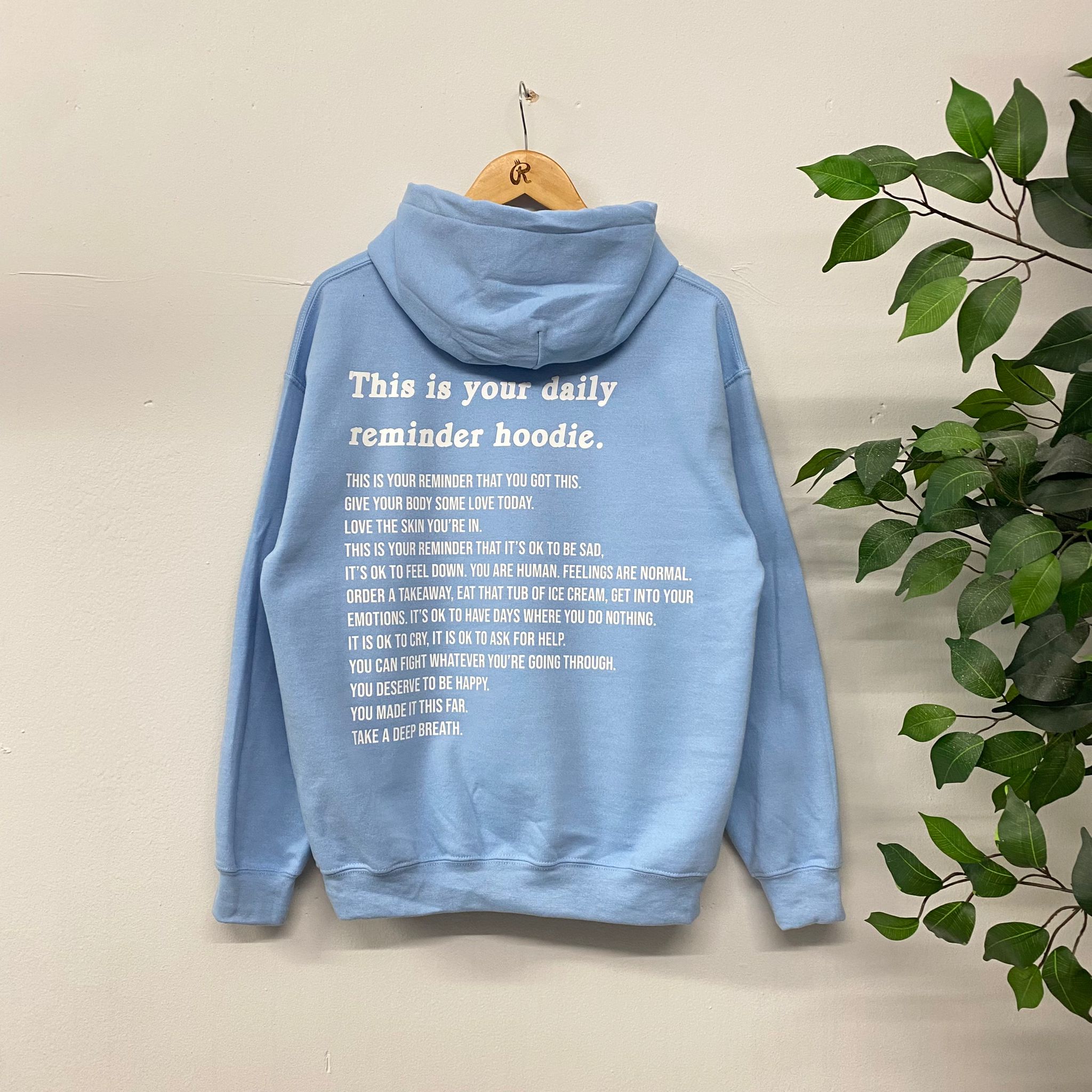 Daily Reminder Hoodie Baby Blue