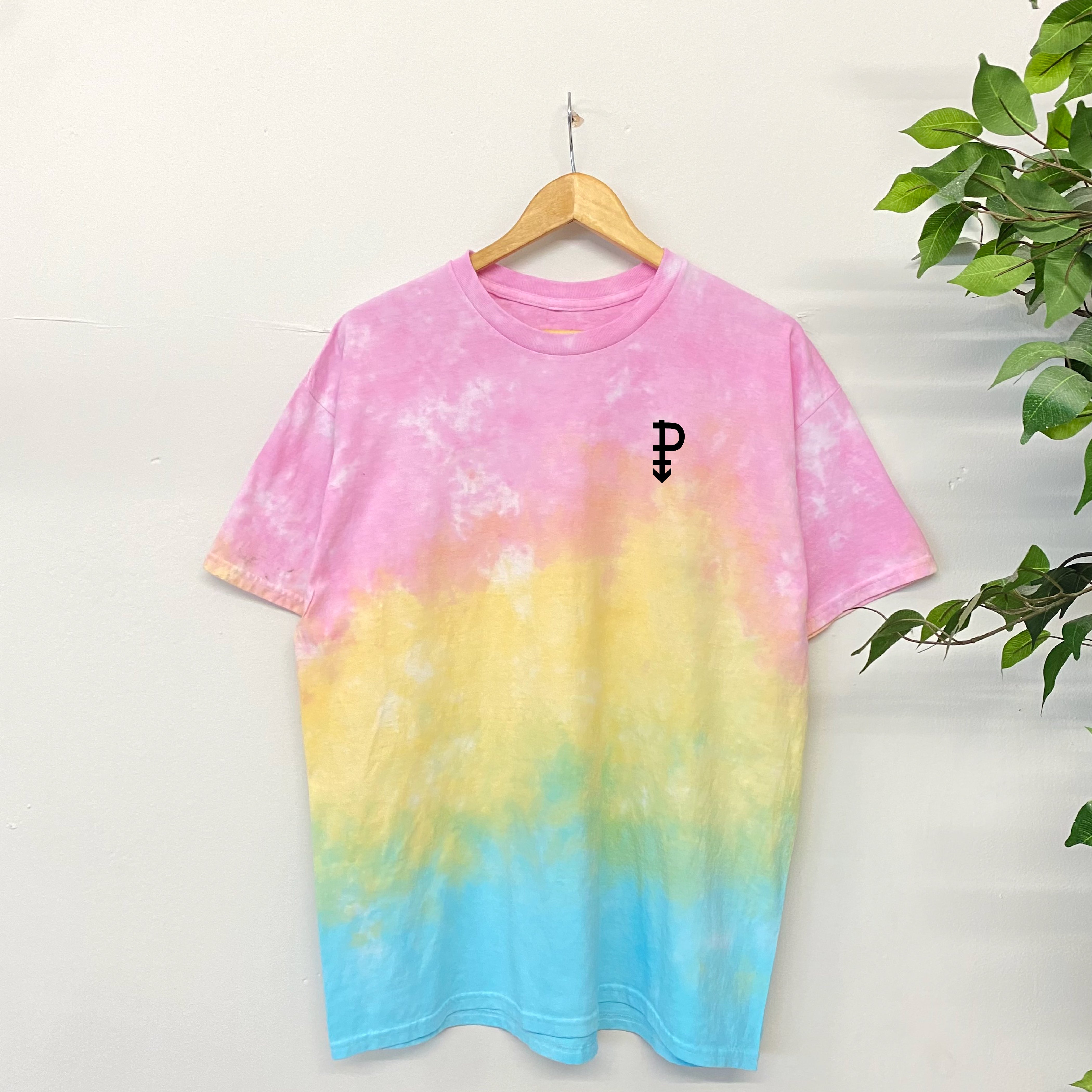 Pansexual Flag T-shirt