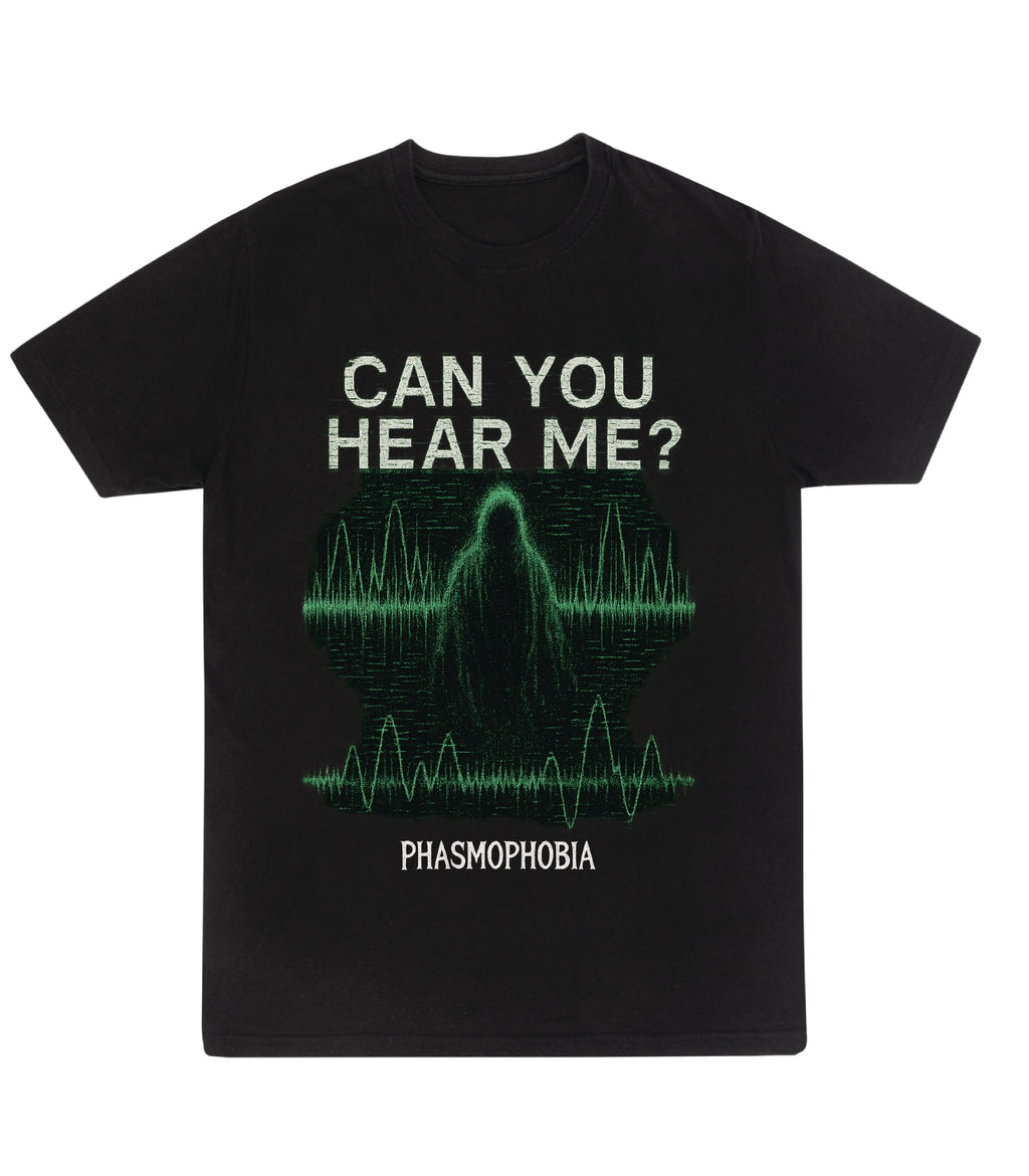 Can You Hear Me?